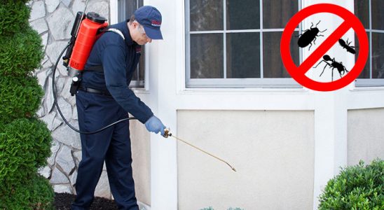 Hemşin Böcek İlaçlama böcek ilaçlama ve haşere kontrolü — ilaclama-tr.com